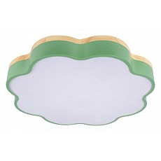 Накладной светильник loft it axel 10225-36 green
